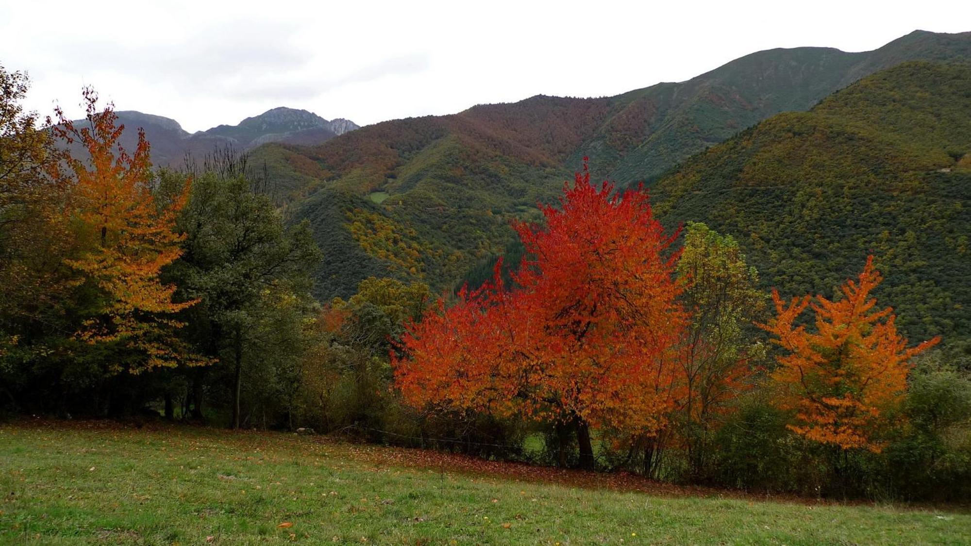 Casa Rural Los Llares Lerones المظهر الخارجي الصورة